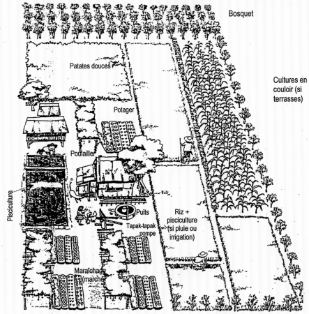 Projet d'Appui Agricole pour le Développement ; Janvier 2011